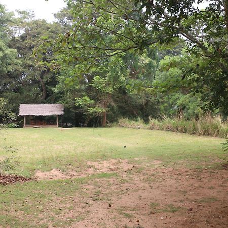 Wildescape, Yala Blocks 3 & 5 Villa Buttala Eksteriør billede