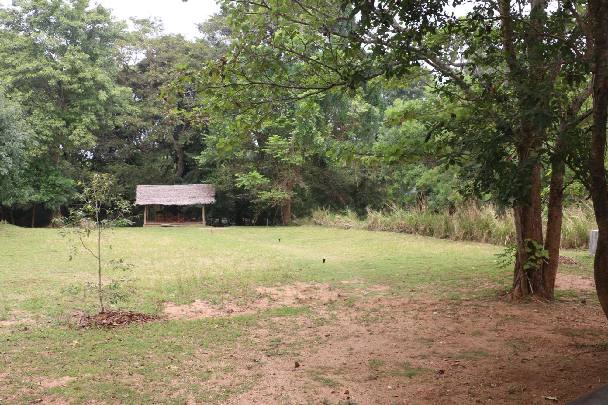 Wildescape, Yala Blocks 3 & 5 Villa Buttala Eksteriør billede