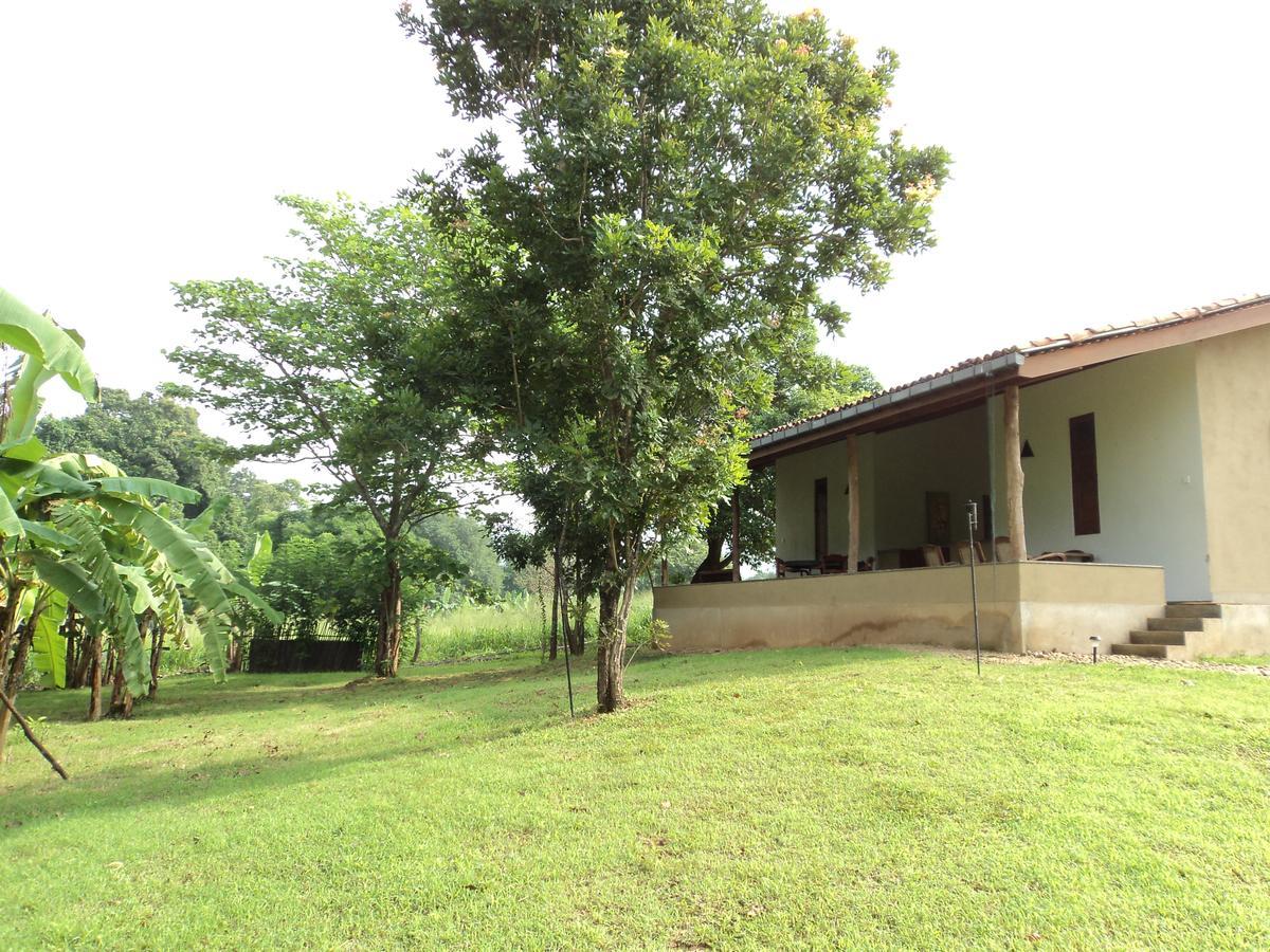 Wildescape, Yala Blocks 3 & 5 Villa Buttala Eksteriør billede