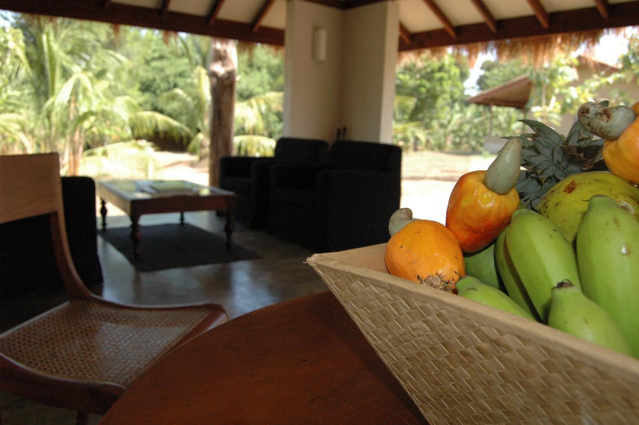 Wildescape, Yala Blocks 3 & 5 Villa Buttala Eksteriør billede