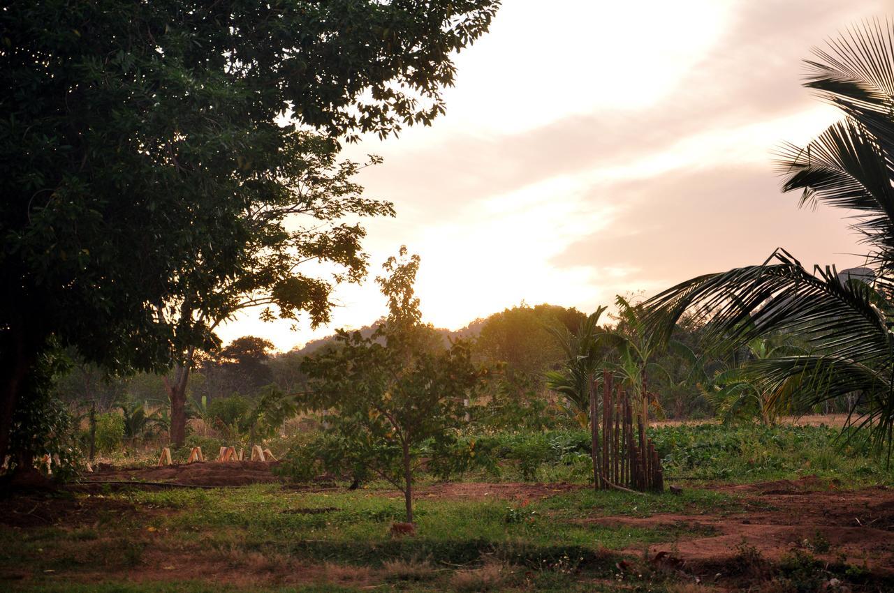 Wildescape, Yala Blocks 3 & 5 Villa Buttala Eksteriør billede